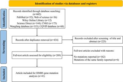 Clinical feature and genetic analysis of HMBS gene in Chinese patients with acute intermittent porphyria: a systematic review